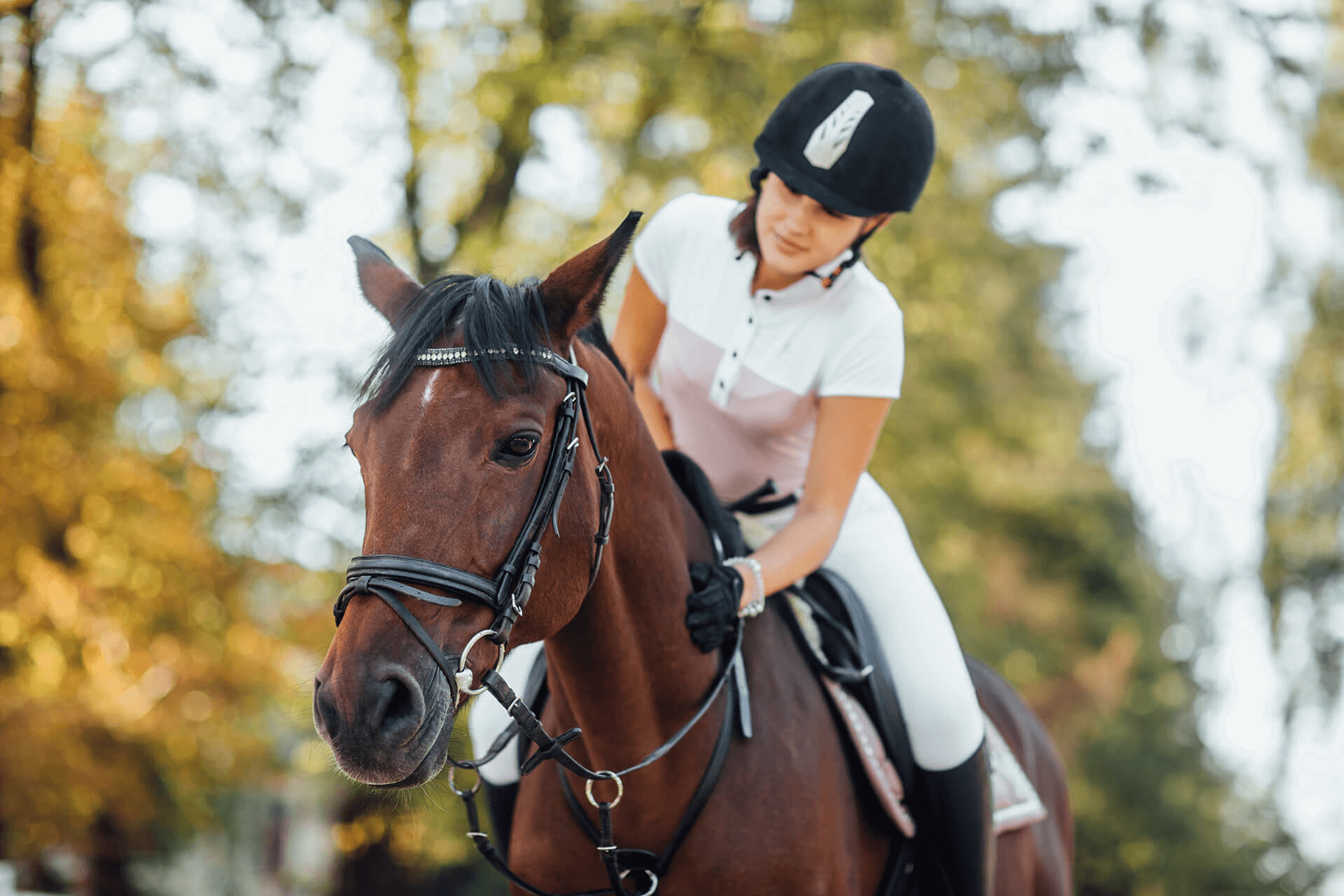 Cavalerie Poney Club